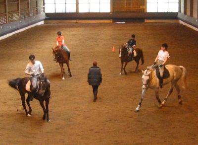 Bestand:Quadrille1 klein-1-.jpg