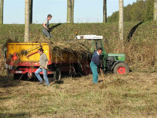 Bestand:Hooien in natuurgebied.jpg