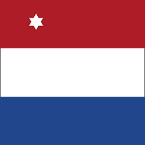 Bestand:NL KM commandovlag commandeur.png