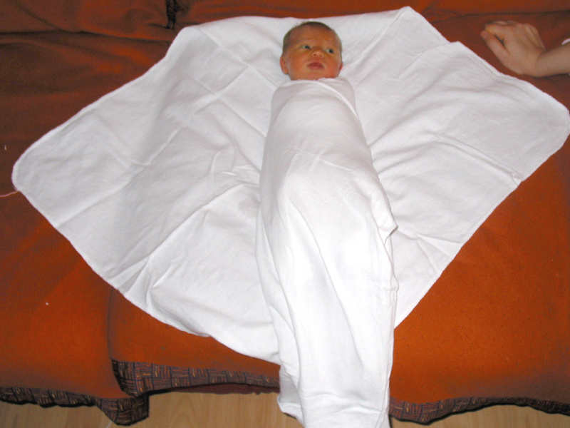 Bestand:Baby-kokon08.jpg