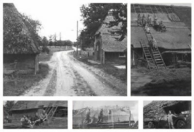 Rietdekkers aan het werk