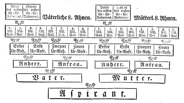 Bestand:Adelsprobe beim Kurpf. Georgsorden 1784.jpg