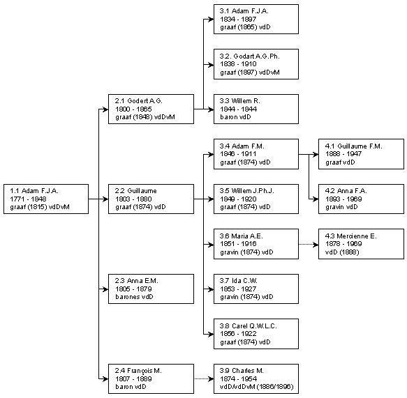 Het bovenstaande schema geeft de relaties aan tussen Adam François Jules Amand graaf van der Duijn en diens nakomelingen in de Van der Duijn-lijn. Bij degenen die op latere leeftijd de titel van graaf of gravin kregen, is tussen haakjes vermeld vanaf welk jaar dat het geval was. Met "vdDvM" is aangeduid wie zich Van der Duijn van Maasdam mochten noemen omdat zij eigenaar waren van de ambachtsheerlijkheid Maasdam. De "niet-wettige" geboorten zijn aangeduid met een stippellijn. In die gevallen is tussen haakjes vermeld vanaf welk jaar de naam Van der Duijn werd gedragen.