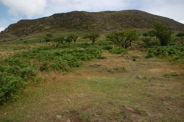 Bestand:Slemish - geograph.org.uk - 206769.jpg