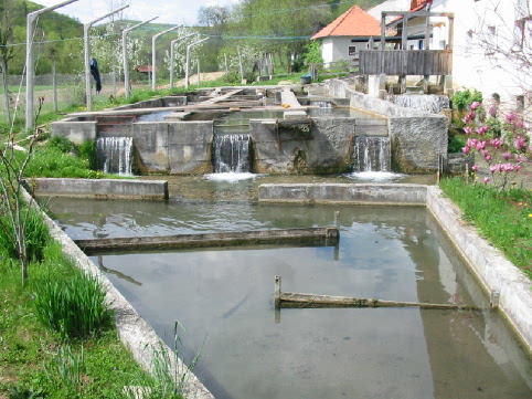 Bestand:Fish farm.jpg