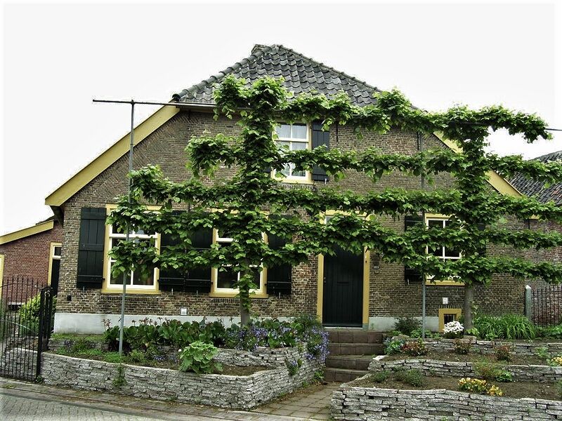 Bestand:Molenstraat-50 01.jpg