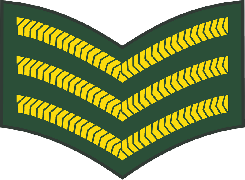 Bestand:BDF OR-6 (2021).svg