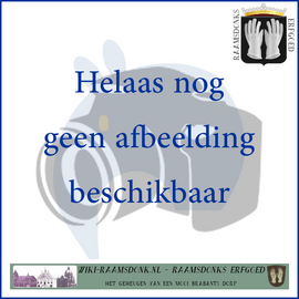 Heeft u een of meerdere foto's of andere informatie van dit gezin, graag een berichtje naar info@raamsdonks-historie.nl