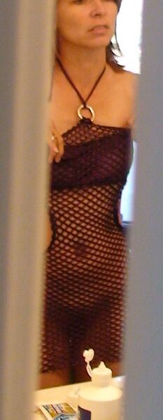 Bestand:Bathroom voyeurism 1.jpg