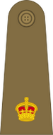 Bestand:British Army (1920-1953) OF-3.svg