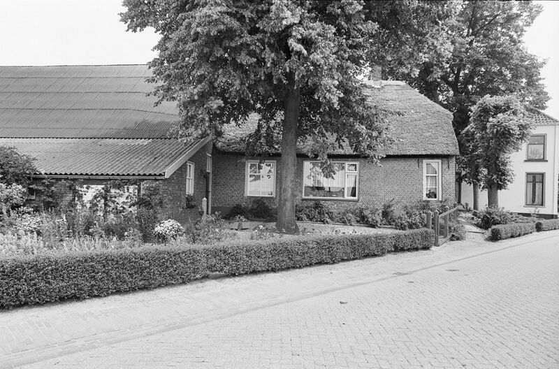 Bestand:Molenstraat-50 05.jpg