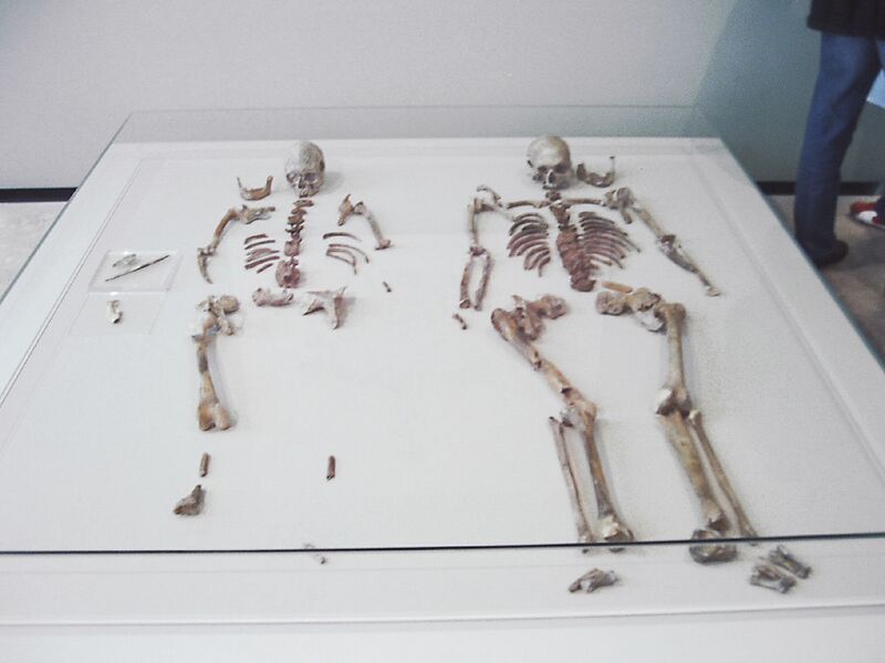 Bestand:Doppelgrab von Oberkassel skeletons.jpg