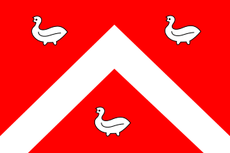 Bestand:Ens vlag.svg