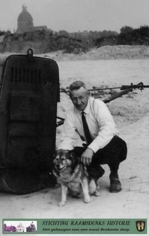 Nellis van Disseldorp