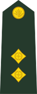 Bestand:Bangladesh-army-OF-1b.svg