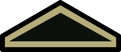 Bestand:PHIL ARMY PVT WOODLAND.svg