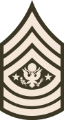 Bestand:Army-USA-OR-09a (Army greens).svg