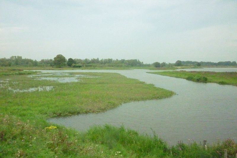 Bestand:Spaarbekken 4 in de Biesbosch.jpg