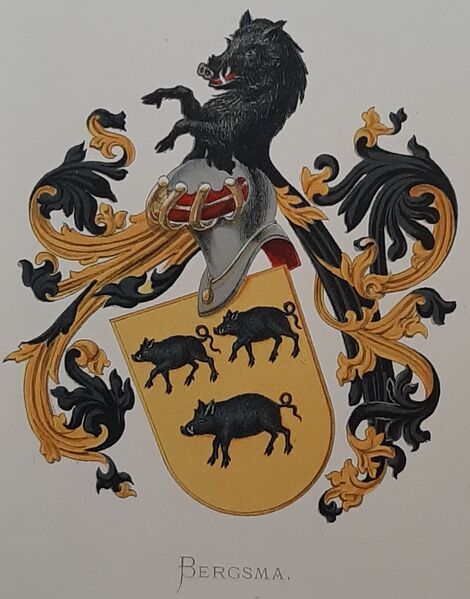 Bestand:Bergsma.vor.jpg
