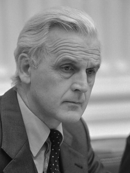 Bestand:Durk van der Mei (1981).jpg