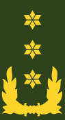 Bestand:Nl-landmacht-luitenant generaal(1).svg