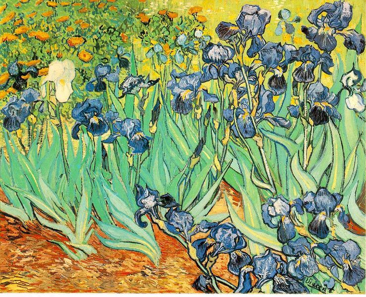 Bestand:VanGogh-Irises 1.jpg
