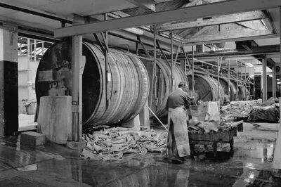 De vervanging van looikuipen door walkvaten luidde de industrialisatie in binnen de leerlooierijsector.