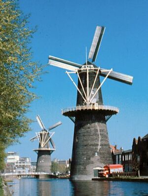 SchiedamMolens1981.jpg