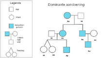 Voorbeeld van een genetische stamboom: een dominante aandoening erft over