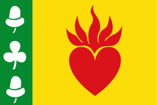 Bestand:Augustinusga vlag.svg