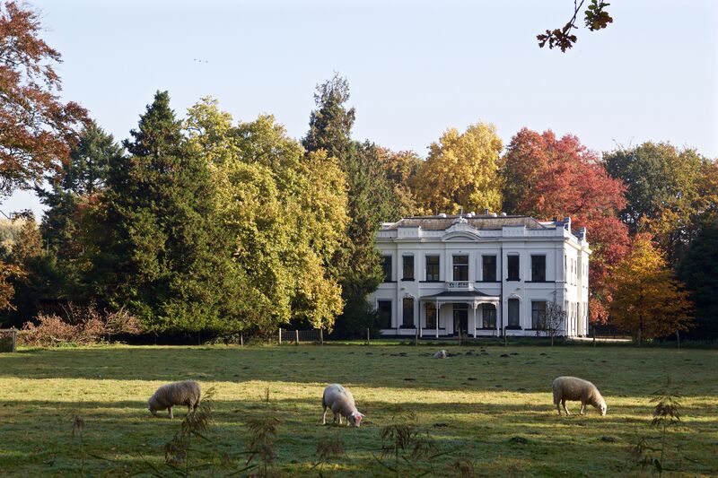 Bestand:Witte villa.jpg
