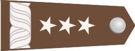 Bestand:PL Epolet gen broni.svg