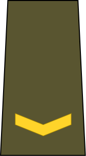 Bestand:Cuba-Army-OF-1b.svg