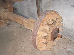 Kammenluiwiel van de Concordiamolen. Let op de speciale vorm van de kammen.