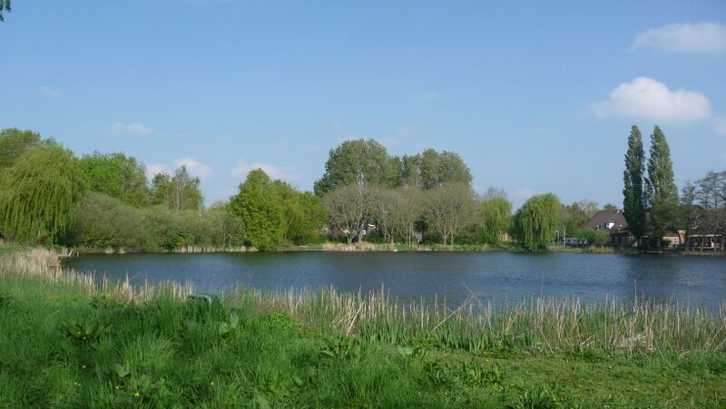 Bestand:Grote Wiel Spijkenisse 2022 (1).jpg