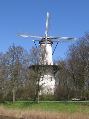 Tholen - Korenmolen - De Hoop.jpg