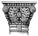 Acanthus-ornament, afbeelding uit het Nordisk familjebok