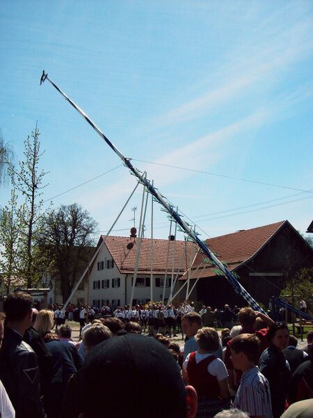 Bestand:Fuchstal maibaum2006 aufstellen04.jpg