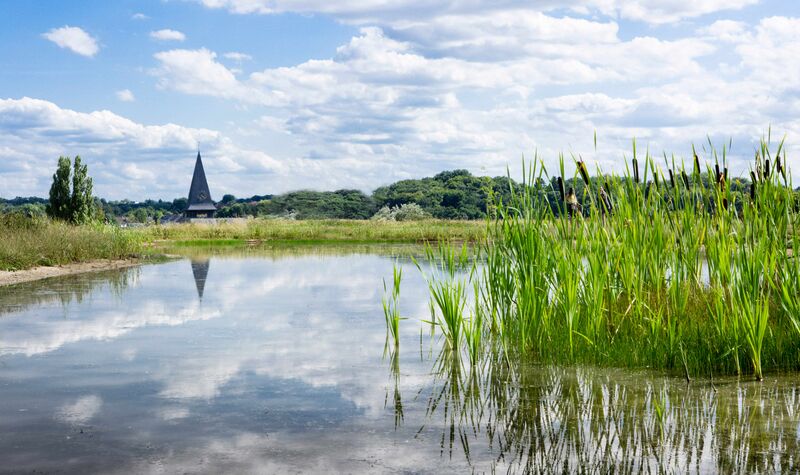 Bestand:Natuurbegraafplaats Eygelshof.jpg