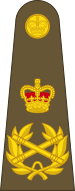 Bestand:British Army OF-10.svg
