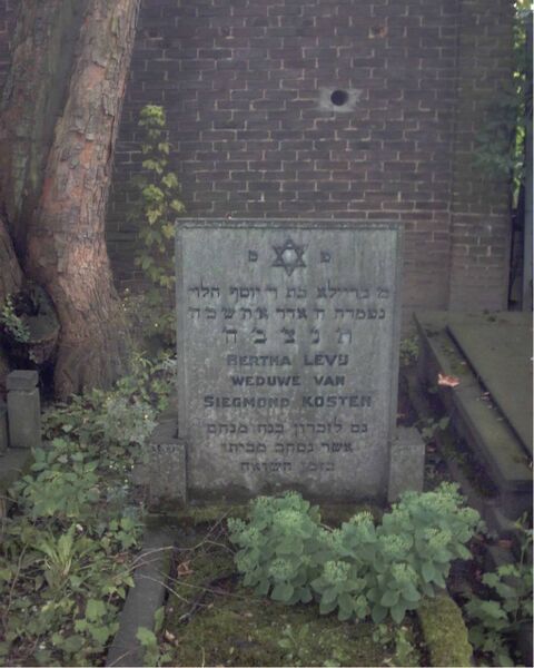 Bestand:Grave Star of David.jpg