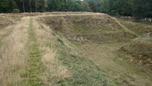 Voorbeeld van een "Engelse Wal"