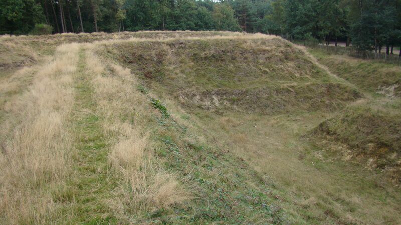 Bestand:Engelse wal-01.jpg