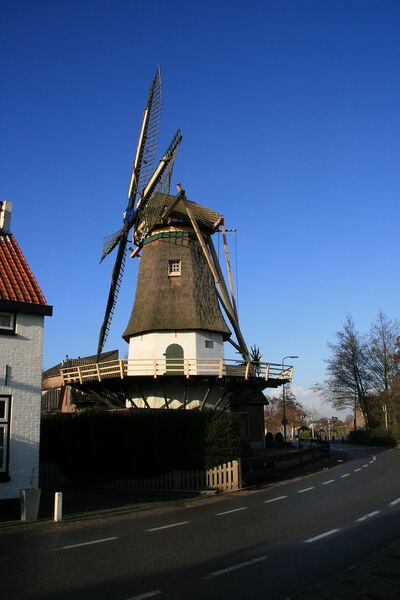 Bestand:Maasdam molen de Hoop.jpg