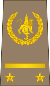 Bestand:09-ROCongo Army-1LT.svg