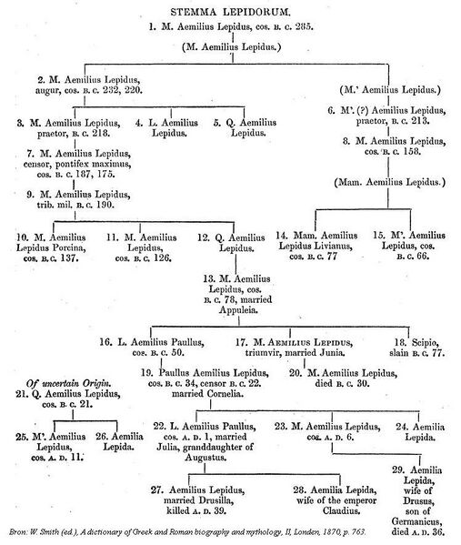Bestand:Stamboom Lepidus.jpg