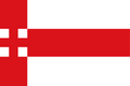 Vlag van Amersfoort